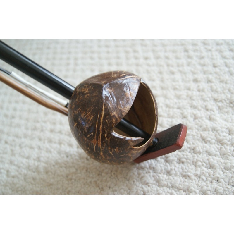 Southern Chinese Folklore Coconut 2 Strings Huqin (Violin of Southern