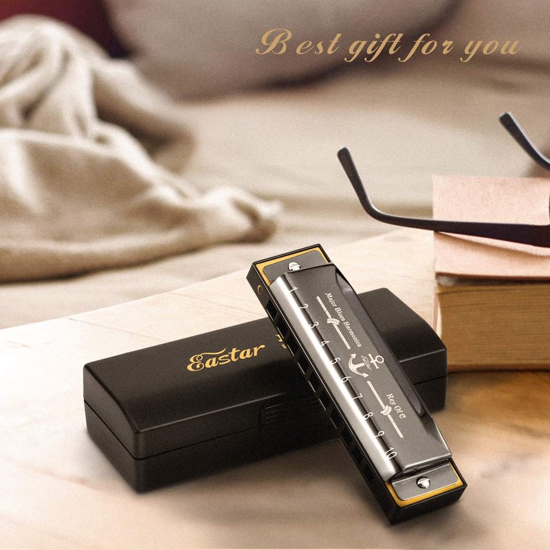 Eastar Major Blues Diatonic Harmonica 10 Holes C Key Beginners