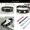 Newtensina Fashion Dogs Collar and Leash with Studs Soft Leather
