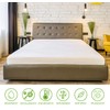 Waterproof Bamboo Mattress protector Breathable and non noisy Anti bacterial