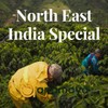 Bay Leaves for Cooking | Indian Bay Leaf by Anamaya