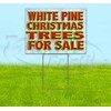 White Pine Christmas Trees for Sale (18" X 24") Yard