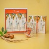 Traditional Pear Bellflower Ginger Tea Gift Set Concentrate (Stick) 10g x 30 sachets