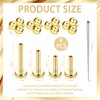 Pack of 4 Tragus Piercing Gold, G23 Titanium Helix Piercings,