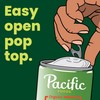 Pacific Foods Organic Chicken Noodle Soup, 16.1 oz Can (Pack