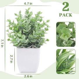 Der Rose 2 Pack Small Fake Plants Mini Artificial Potted Plants for Table Desk Home Laundry Room Bathroom Office Decor
