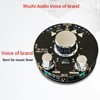 Bluetooth Amplifier Board Volume Indication 2.0 2.1 Channel Bluetooth Audio