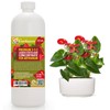Gardenera Premium Liquid ANTHURIUM Fertilizer - 3-1-2 Concentrate for Indoor