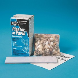 Fossil Seashell Casting Craft Kit (Pack of 24)