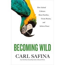 Becoming Wild: How Animal Cultures Raise Families, Create Beauty, and Achieve Peace