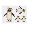 Azeeda 4 x 'Rockhopper-Pinguin' Temporäre Tattoos - Wasserfest, Hautfreundlich &