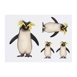 Azeeda 4 x 'Rockhopper-Pinguin' Temporäre Tattoos - Wasserfest, Hautfreundlich & Ungiftig · Transfers in Verschiedenen Größen (TO00085102)