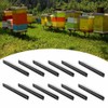 12Pcs Beehive Plastic Beetle Insect Trap Catch Box Tool Beekeeping