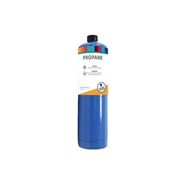 FIREMASTER Propane Fuel Cylinder, Blue, 400 g