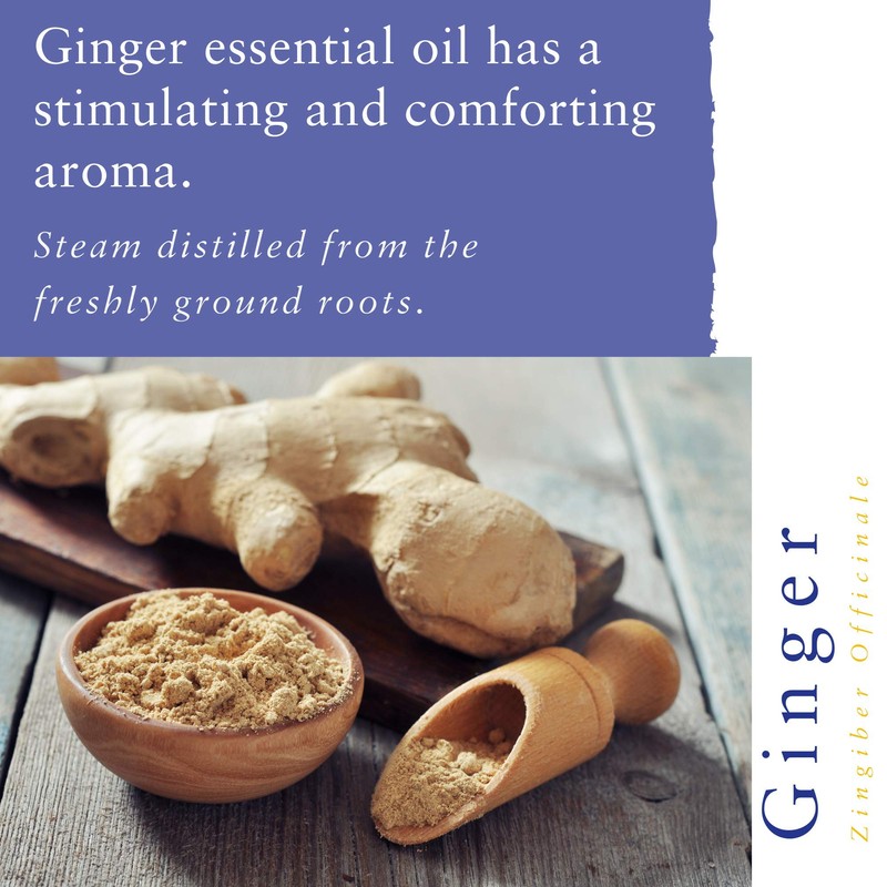 Absolute Aromas Spicy Essential Oils Set - Pack of 3