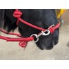 Rope headcollar with Reins for use of Bitless Horse Riding