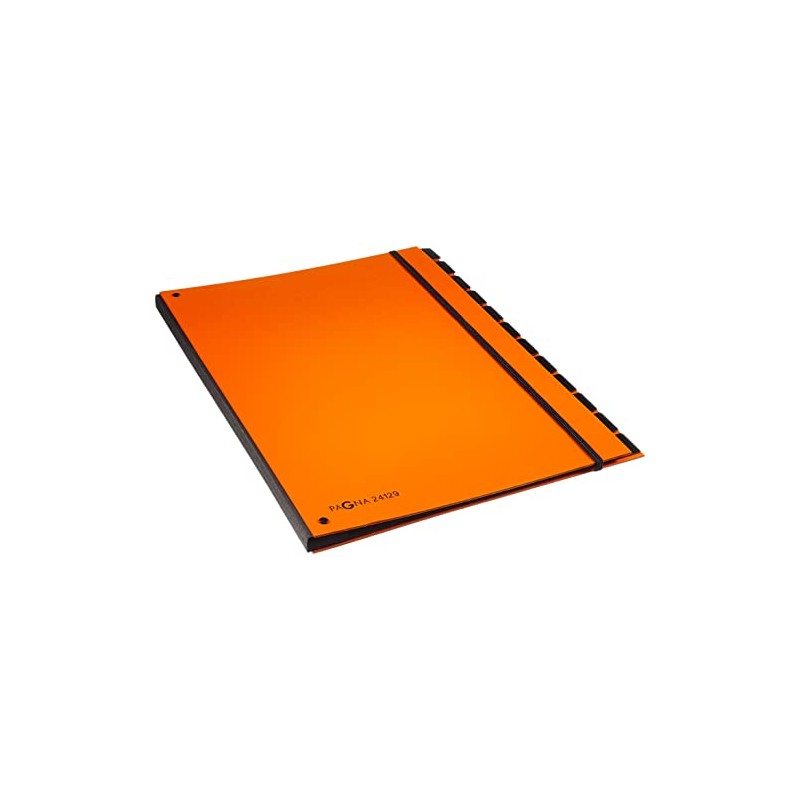 Pagna 2407909 A4 7 Sections Master Organizer - Orange (Pack