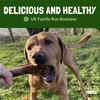 Ostrich Bones for Dogs Metatarsus 100% Natural Long-Lasting Dog Chew