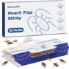 Roach Sticky Traps Indoor 10 Pack | Cockroach Killer with