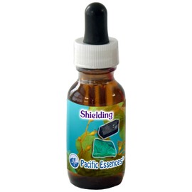 Shielding ~ Applying a Protective Film of Light ~