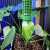 Monstera 2/1개 플라스틱 모스폴(모스 지지대) - 몬스테라용, 쌓아서 사용 가능