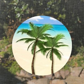 Screen Door Magnets Double Sided – Keep People, Kids, and Dogs from Running into The Screen Door - Robbins Aria Palm Tree