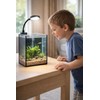 LYPHARD AQUARIUMS Mini Aquarium Set Fish Tank Shrimp Tank Snails