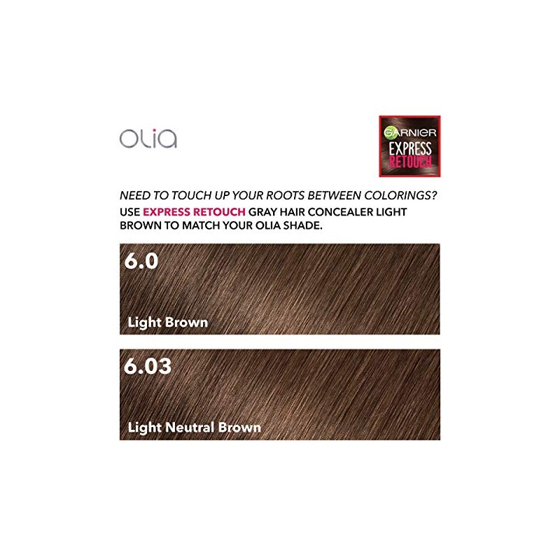 Garnier Hair Color Express Retouch Gray Hair Concealer, Instant Gray