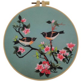 Esffaci Embroidery Starter Kit for Adult Beginner with Birds Flowers Pattern Stamped Cross Stitch Set with Embroidery Cloth Hoop Needle Threader Embroidery Floss and Instruction