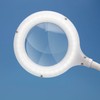 Lightcraft Value Magnifier Lamp with Flexi Neck-100mm Lens, 36 LEDs,
