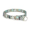haoyueer Training Dog Collar, No Pull Martingale Collar, Slip Collar