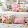 Artscope Happy Easter Rabbit Eggs Throw Pillow Covers 18x18 Inch