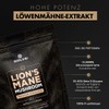 Solve Labs® Lion's Mane Powder, Premium Quality, 100% Fruit Body,