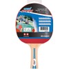 New Sports TT Set, 2 Rackets, 3 Balls, Includes Net