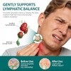 Lymphatic Drainage Drops,21-in-1 Herbal Formula for Liposomal Lymphatic Support &