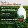 Medina Horticultural Molasses - Nutrient-Rich Plant Juice & Molasses Gallon