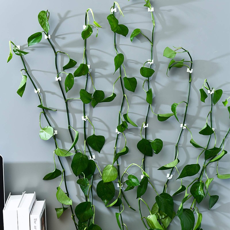 kissral Plant Clips Large Pack of 50 Wall Mounts for