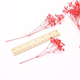 LYFORTZY 100 Pcs Watermelon Red Mini Dried Babys Breath Flowers , 6000+ Natural Dried Gypsophila Flowers Bulk, Dried Gypsophila Flowers for DIY, Crafts, Resin, Home Decor,Wedding Flower Wreaths