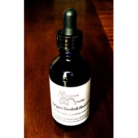 Spagyric Burdock Root Extract- Herbal Tincture (2 oz)