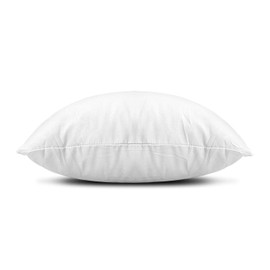 EDOW Throw Pillow Insert, LightweightâSoft Polyester Down Alternative Decorative Pillow, Sham Stuffer, Machine Washable. (White, 26x26)