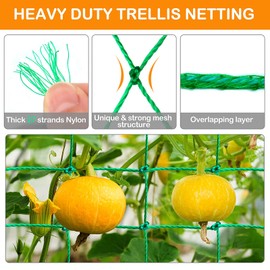 Moyibai Climbing Plant Trellis -27 Strands Heavy Duty Garden Trellis for Cucumbers, Vines, Fruits and Vegetables, Tomato Plant Trellis, Climbing Vines, 5.9x5.9 FT