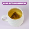 Jarteela - Marshmallow Root Tea Bags - 2g x 36