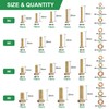 FOLIV 907pcs Grade 8.8 Metric Bolt Assortment, M4 M5 M6