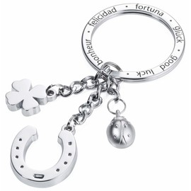 TROIKA Key Ring, Good Luck Blinger, Horseshoe TR-KR16-11/CH Keychain