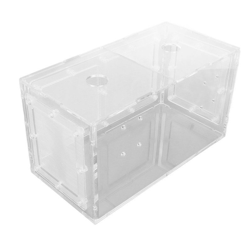 Fish Breeding Isolation Box Transparent Mesh Side Fish Tank Incubator