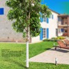 Tree Trunk Protector Plastic Spiral Tree Guard Tree Bark Protector