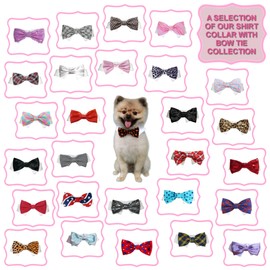 Pooch Outfitters Dog Tie and Bow Tie Collection | Extensive Selection for Any Style, Mood, Occasion, and Holiday | Small, Medium, Large Dogs