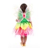 Little Adventures Springtime Fairy Wings