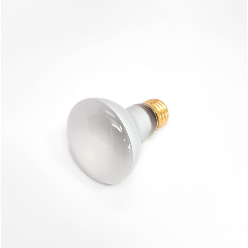 100W Lava Lamp Light Bulb 100 watt 125 Volt R
