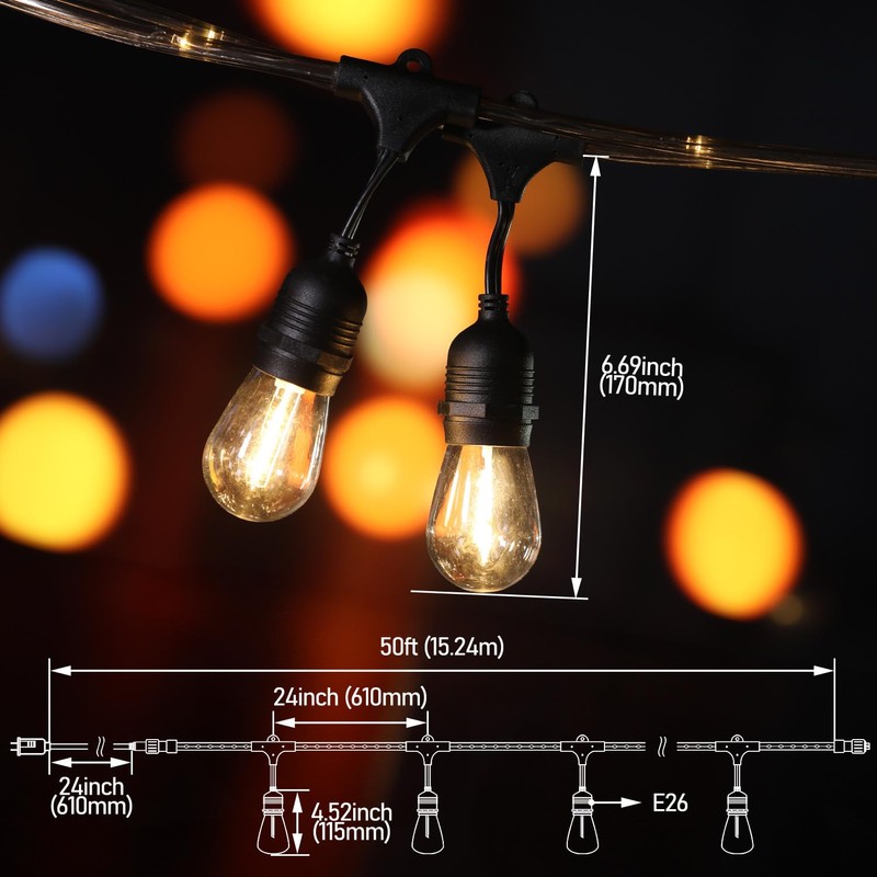 LEONLITE LED Outdoor String Lights 48FT Valentine's Day Decoration, Clear
